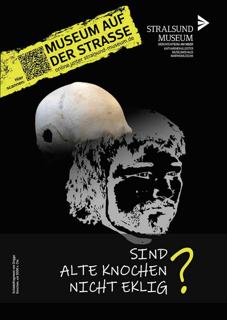 Stralsund Museum - Schaedel Drigge